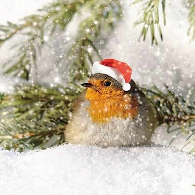 Image of GBCC Paper House Pack of 6 Artistic Charity Christmas Cards &#039;Robin in Santa Hat&#039; Snowy Branch From The Great British Card Company, multi, 141 x mm