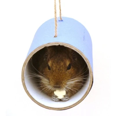 Image of Chewchewbs Totally Degu 4 pack (Blue)