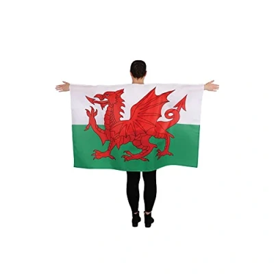 Image of Wicked Costumes Wales Flag Cape (5x3ft)