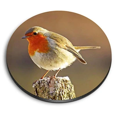 Image of 1 x Round MDF Magnet Robin Redbreast Bird Animals Birds 8701