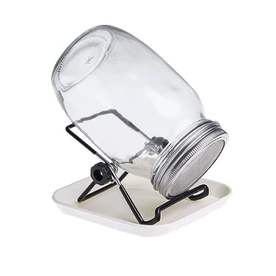 Image of Parrrot Essentials Sprouting Mason Jars, Seed Sprouter Kit with Stainless Steel Strainer Lids Stands Germinator Set, Jar for Seeds