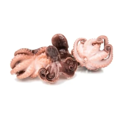 Image of Frozen Raw Cleaned Baby Octopus 40 60 (1kg x 10 Packs)