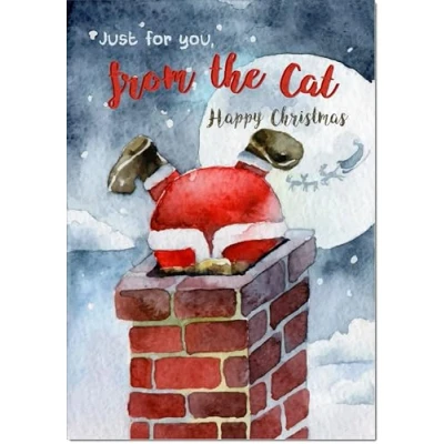 Image of doodlecards From The Cat Christmas Card Santa Chimney Large A4 Size for with Plain Envelope