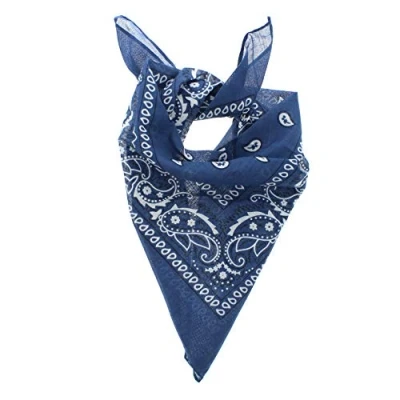 Image of Zac&#039;s Alter Ego Retro Vintage Style Cowboy Paisley Bandana/Neckerchief/Durag