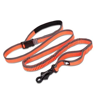 Image of Truelove Bungee Dog Lead Hands Free Leash Adjustable Elastic Shock Absorbing Long Cord TLL2271(L, Orange)