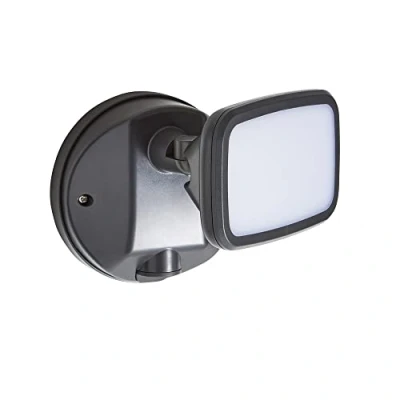 Image of LITECRAFT Alma Single Floodlight 10 Watt LED Outdoor Fitting Dark Grey