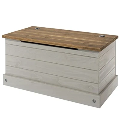 Image of Core Products, Corona Grey Storage Trunk