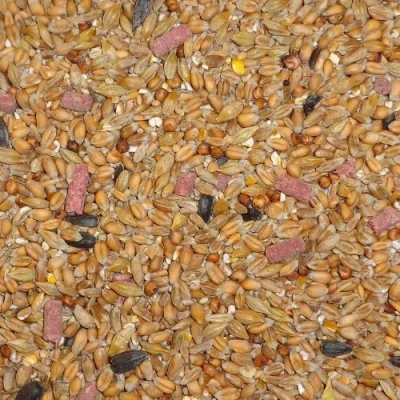 Image of Dawn Chorus 12.55 kg Original Flavour Wild Bird Seed Mix