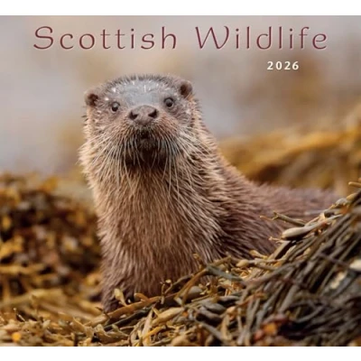 Image of 2026 Scotland Calendar: Scottish Wildlife Wall Calendar Month to View 12 Months