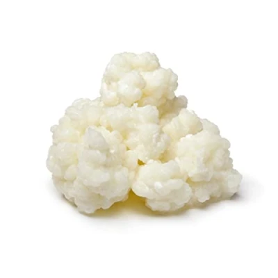 Image of 10g of Superior Strain Certified Organic Milk Kefir Grains by RawCultures®