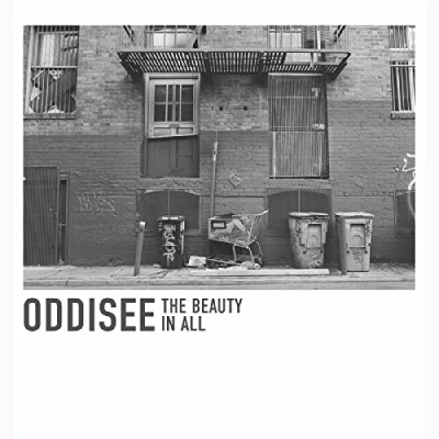 Image of The Beauty In All [VINYL]