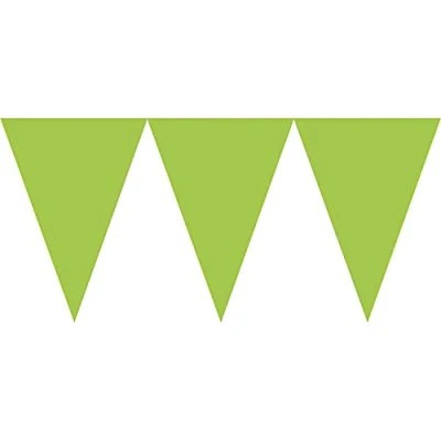 Image of Amscan 120099 53 55 Pennant Banner Kiwi