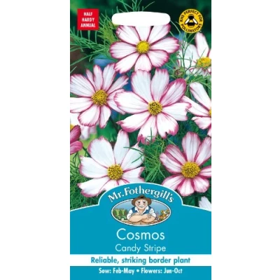 Image of Mr Fothergill?s Seeds Ltd 15246 Fothergill&#039;s Cosmos Candy Stripe, Pink