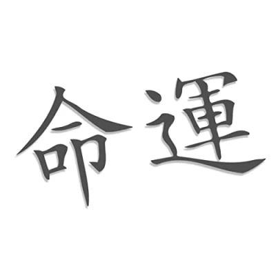 Image of Decus Fate Japanese Characters L 2373 (gray) // Sticker OEM JDM Style Vinyl Transfer