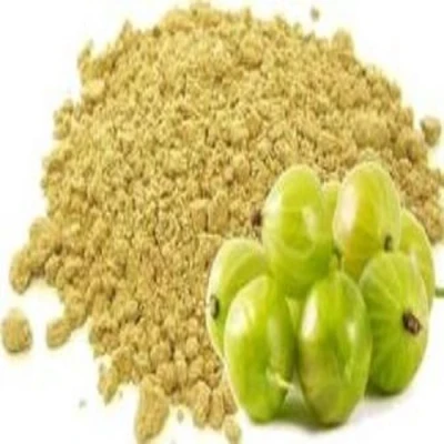 Image of Pure Amla Powder Dry Hog Plum Gooseberry Premium Quality Free UK P&amp;P (100g)