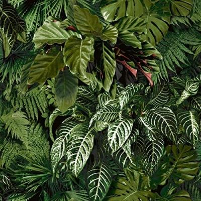 Image of Ciara Tropical Palm Green Wallpaper Botanical Leaves Jungle Modern Contemporary Paste The Wall Vinyl