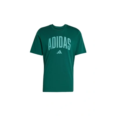 Image of adidas Sportswear M Collegiate T Sports Tshirt, Men&#039;s, Size: XS, green