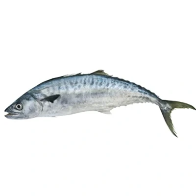 Image of Fresh Whole King Fish 1 kg