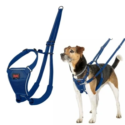 Image of HALTI No Pull Harness to Stop Your Dog Pulling on the Leash. Adjustable, Lightweight and Easy Use. Reflective Training for Small Dogs (Size S, Cobalt Blue)