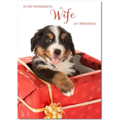 Image of doodlecards Wife Christmas Card Dog in Parcel Medium Size for with Plain Envelope