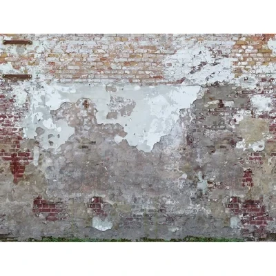 Image of Metropolitan Stories Mural Back to Basics Wall 392261
