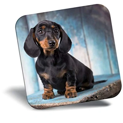 Image of Destination Vinyl ltd Fridge Magnet Sausage Dog Dachshund Puppy 16342