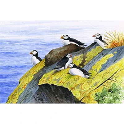 Image of David Thelwell Puffins wildlife nature bird greeting card Large A5 with brown fleck envelope