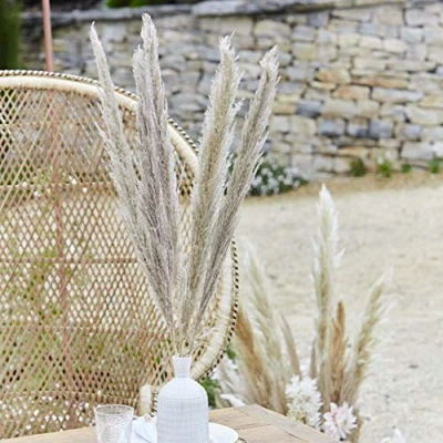 Image of Ginger Ray Natural Dried Pampas Grass Decorations for Weddings and Parties 5 Stems