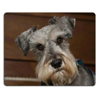 Image of Natural Rubber Gaming Mousepad Curious Miniature Schnauzer dog