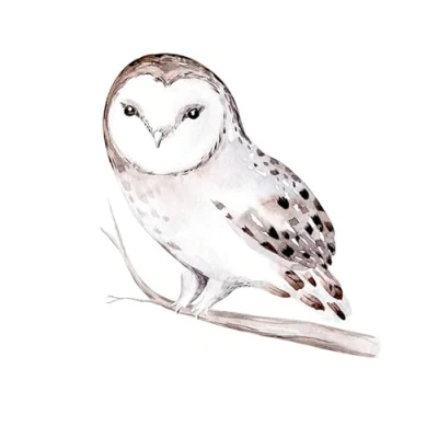 Image of 20 Napkins Animal Motifs Beautiful Owl on Branch Table Decoration Paper with Motif Also for Decoupage and 33 x cm