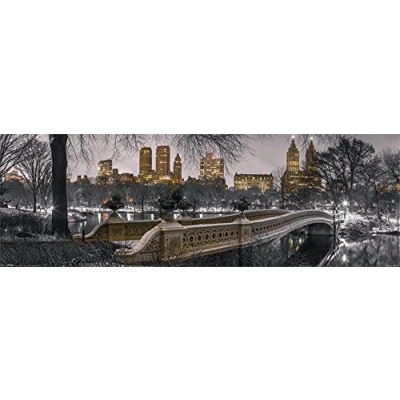 Image of Pyramid International New York Bow Bridge Central Park Slim Poster, Paper, Multi Colour, 30 x 91.5 cm