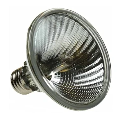 Image of SWAN HI SPOT 95 PAR 30 Halogen 75W 240V Flood