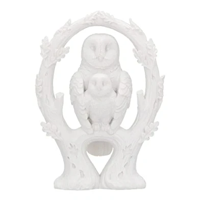 Image of Nemesis Now Embrace Owl Figurine, White, 10.9cm