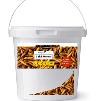 Image of UK GROW Premium Bucket of Calci worms/Black soldier fly lave Similar to Dried Mealworm (5L)