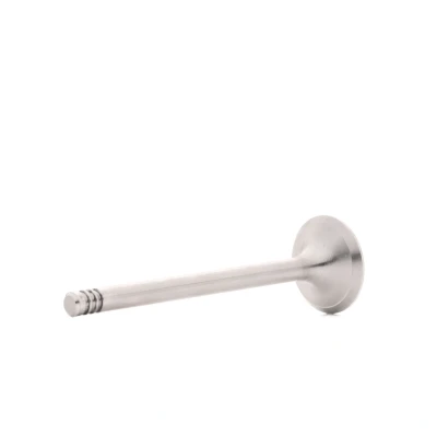 Image of 03G109611D, 68001583AA Exhaust Valve BGA V163731 25,4mm VOLKSWAGEN: Passat B6 Saloon, Golf Plus / Crossgolf, 5, AUDI: A3 Sportback, A4 B8 Avant
