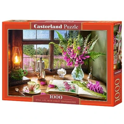 Image of Castorland CSC104345 Jigsaw Puzzle, Various
