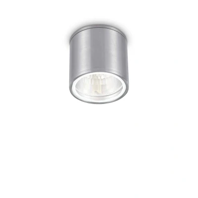 Image of Gun 1 Light Outdoor Surface Mounted Ceiling Downlights Aluminium, Polished Chrome IP44, GU10