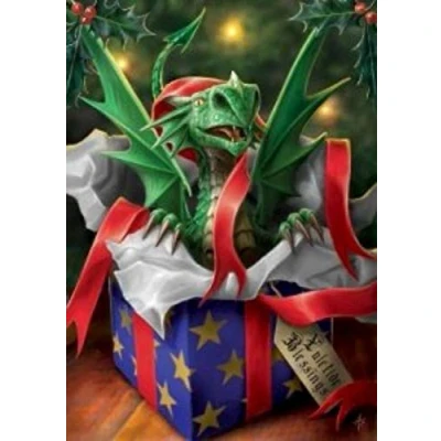 Image of Surprise Gift Christmas Card by Anne Stokes
