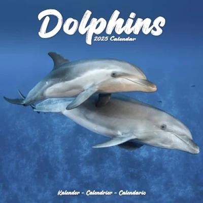 Image of Dolphins 2025 Square Wall Calendar Animal, Wildlife Calendar: Original Avonside Kalender [Mehrsprachig] [Kalender]
