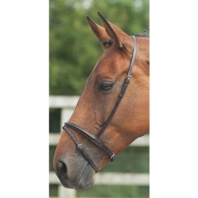 Image of Shires Blenheim Flash Noseband Havana Pony