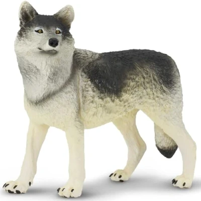 Image of Gray Wolf