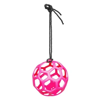 Image of Waldhausen slow feeder 22 Pink
