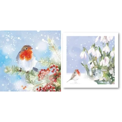 Image of Charity Christmas Cards Robin Snow Scenes Eco Friendly and Recyclable Box of 20 By The Great British Card Company