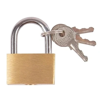 Image of 2.5cm Brass Padlock By Blackspur