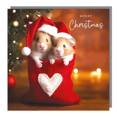 Image of General Christmas Card Hamsters in a Love Heart Stocking Festive Design Made the UK Eco Friendly