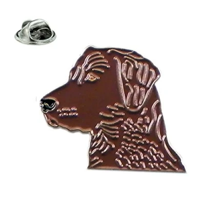 Image of Chocolate Labrador Dog Metal Enamelled Pin Badge Lapel XJKB12 61