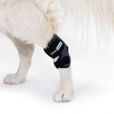 Image of Ortocanis Hock Support for Dogs with Osteoarthritis, Ligament Injuries or Tendon Inflammation of Joints, Size M