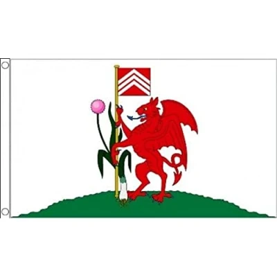 Image of AZ Flag Cardiff 3x5 Ft 100D Polyester Walles Banner with Two Metal Grommets Fade Resistant Vivid Colors 3&#039; x 5&#039; Feet 150x90 Cm
