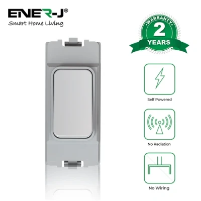 Image of Ener J Wireless &amp; Batteryless Kinetic Grid Switch