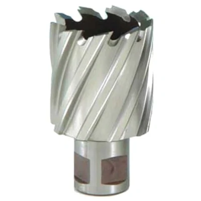 Image of Rotabroach Raptor 16mm M2 Standard Cutter